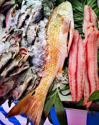 High angle view of fish for sale in market