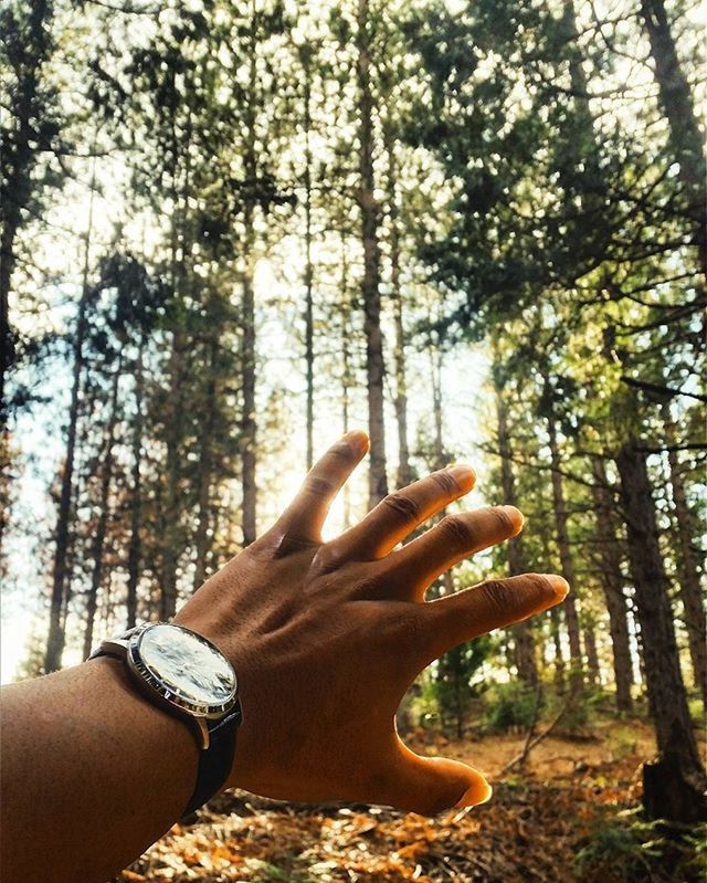 person, personal perspective, part of, tree, lifestyles, holding, human finger, leisure activity, cropped, unrecognizable person, low section, tree trunk, forest, sunlight, day