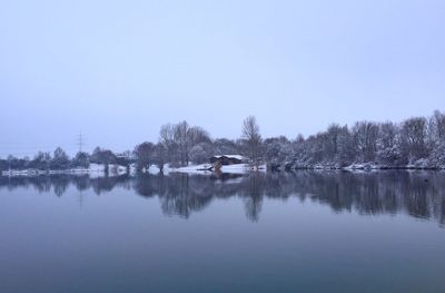 Reflection of trees in calm lake