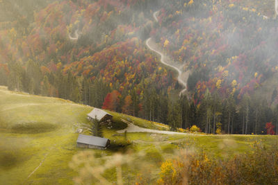 Scenic view of trees on landscape during autumn