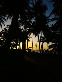 Silhouette of trees at sunset