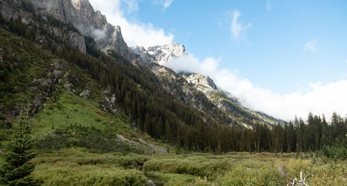 Grand teton mountain range 