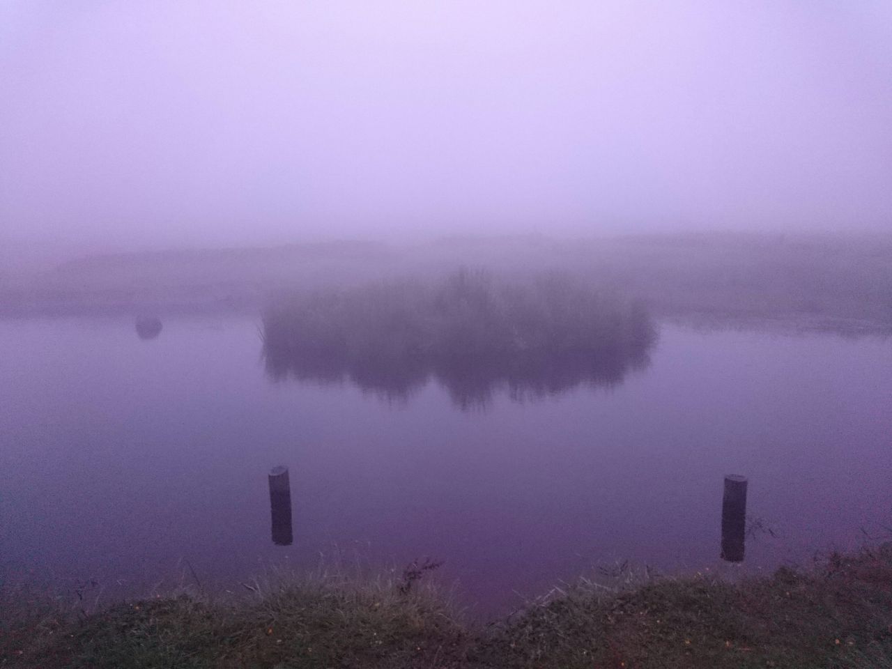 water, lake, tranquility, tranquil scene, fog, reflection, scenics, beauty in nature, foggy, nature, tree, calm, copy space, standing water, idyllic, sky, waterfront, lakeshore, non-urban scene