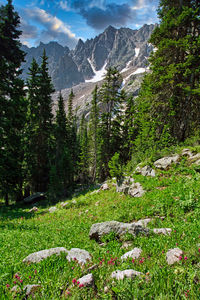 Scenic view of land and mountains against sky