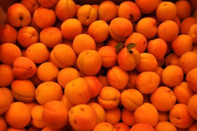 Full frame shot of eggs