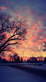 Silhouette trees against dramatic sky during sunset