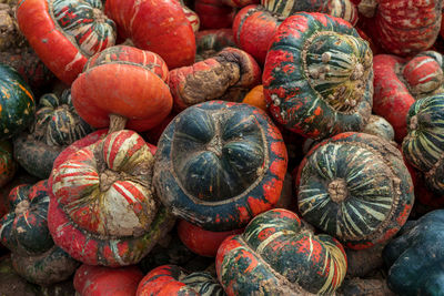 Full frame shot of pumpkins