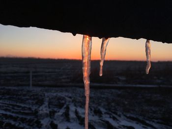 Close-up of icicles on land during sunset