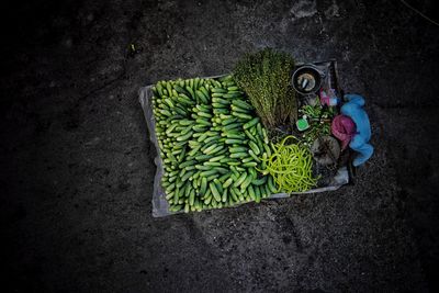 High angle view of green leaf on plant