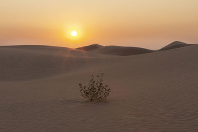 Beautiful sunset colors from the california wildfires