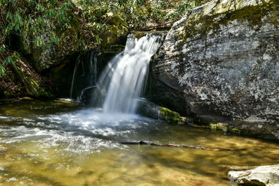 Scenic view of waterfall in forest