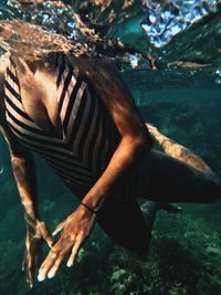 Close-up of fish swimming in sea