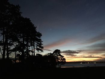 Trees against sky during sunset