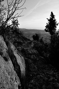 Scenic view of rocks in forest against sky