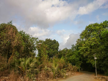 Scenic view of landscape against cloudy sky