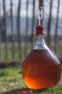 Close-up of glass bottle on field