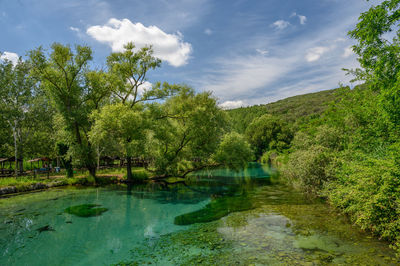 Scenic view of lake by trees against sky