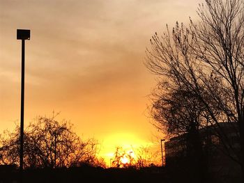 Low angle view of silhouette trees against sky at sunset