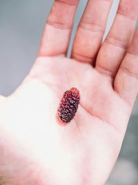 Close-up of hand holding strawberry