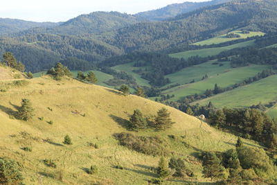 High angle view of landscape