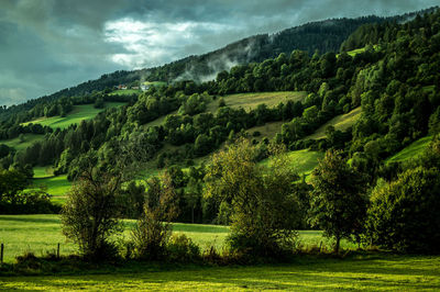 Scenic view of landscape with lots of green against a sky. 