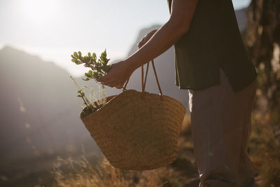 Midsection of woman picking plants