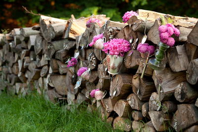 Stack of pink flowering plants on field