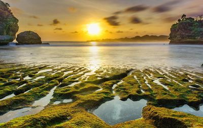 Scenic view of sea against sky during sunset