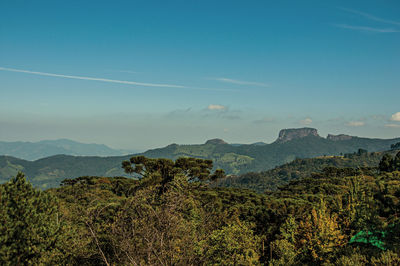 Panoramic view of forest and peak known as bau peak, near campos do jordao, brazil