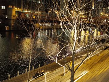 Illuminated bare tree during winter at night