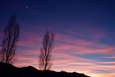 Low angle view of silhouette trees against sky at sunset