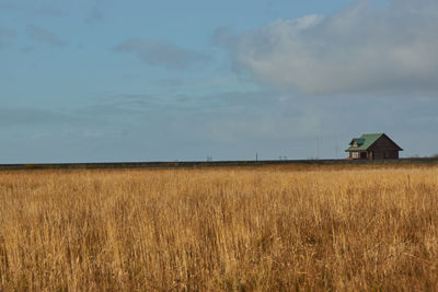 Scenic view of farm against sky