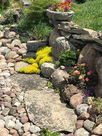 View of stone wall in garden