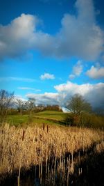 Scenic view of field against cloudy sky