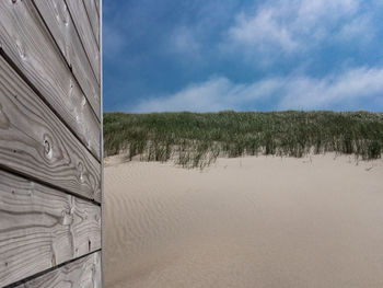 Summertime picture with gray patina wood in front of sand dunes and blue sky