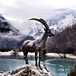 View of snow covered mountain