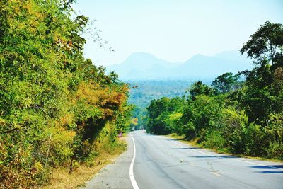 Road amidst trees against sky