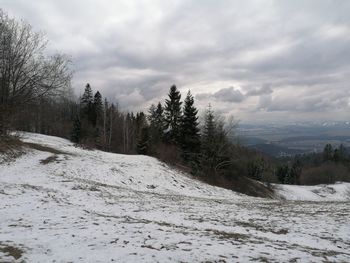 Snow covered land and trees against sky