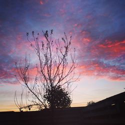 Silhouette of trees against cloudy sky