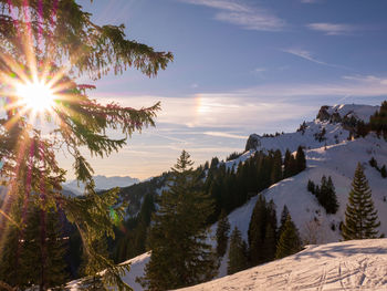 Scenic view of snowcapped mountains against sky during sunset