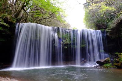 View of waterfall in forest