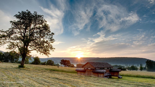 Scenic view of field against sky during sunset