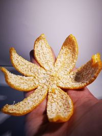 Close-up of hand holding leaf against white background