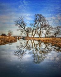 Bare tree by lake against sky during winter