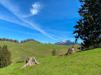 Scenic view of bavarian landscape against blue sky