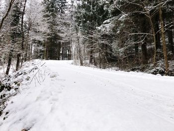 Snow covered road amidst trees in forest