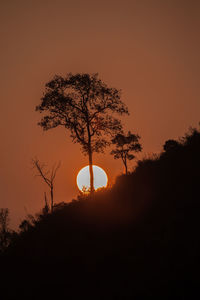 Silhouette tree against orange sky