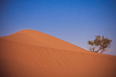 Scenic view of desert against clear blue sky