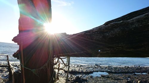 Sun shining over sea during winter