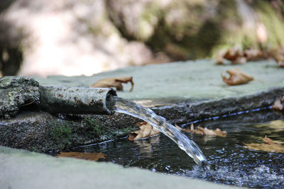 Close-up of water running from pipe in pond